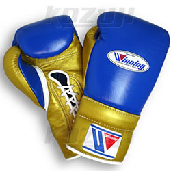 十大拳击品牌,拳击入门推荐品牌有哪些