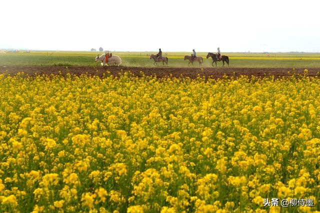 风光摄影拍摄技巧图片,风光摄影的意境之美5个诀窍