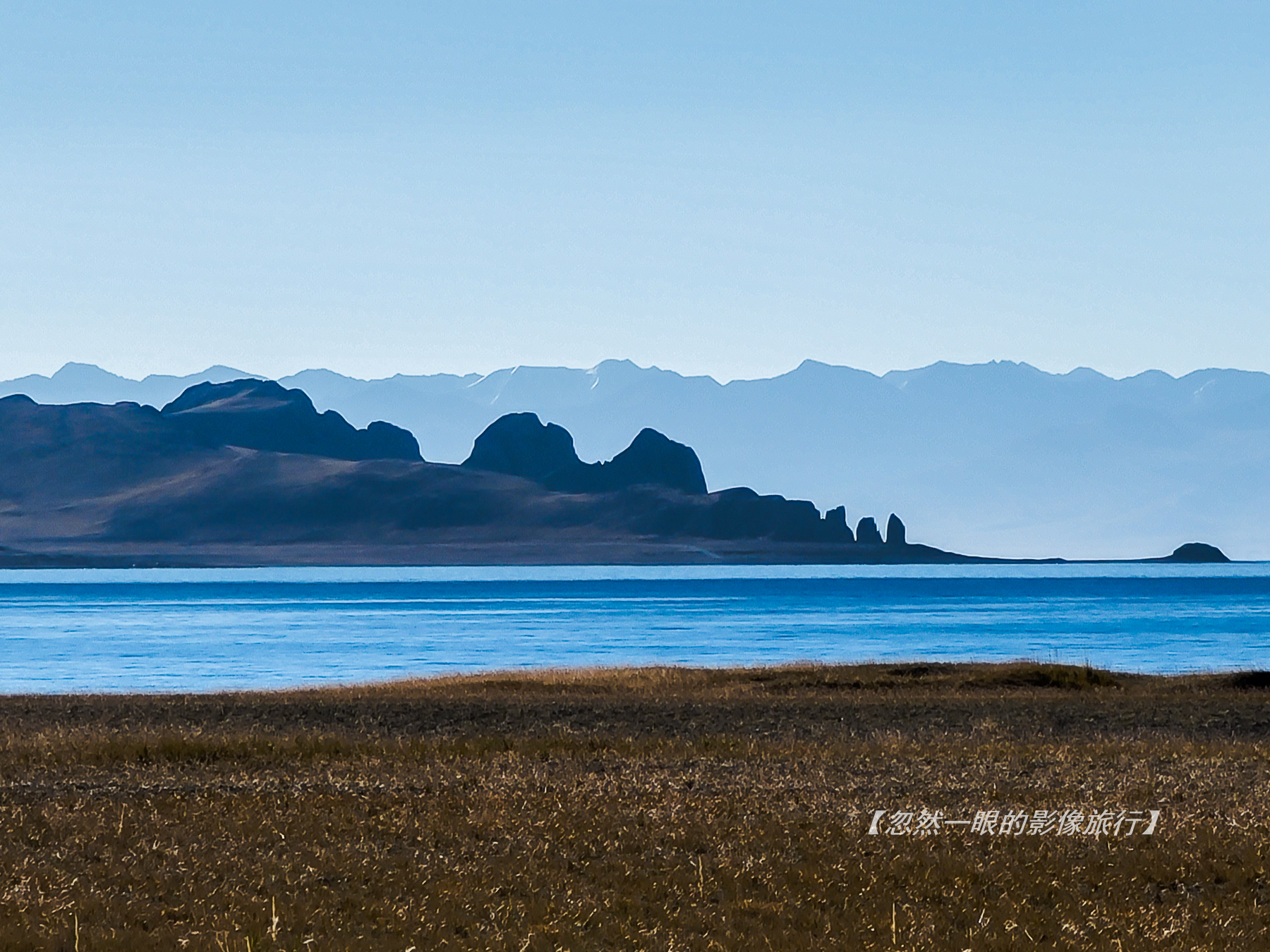 阿里无人区野狼出没,阿里无人区狐狸