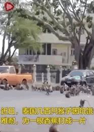 疫情之下，生活发生变化，没有谁比谁的生活轻松，只有谁比谁能扛。只要有胆量迎接挑战，人生才有更多可能！