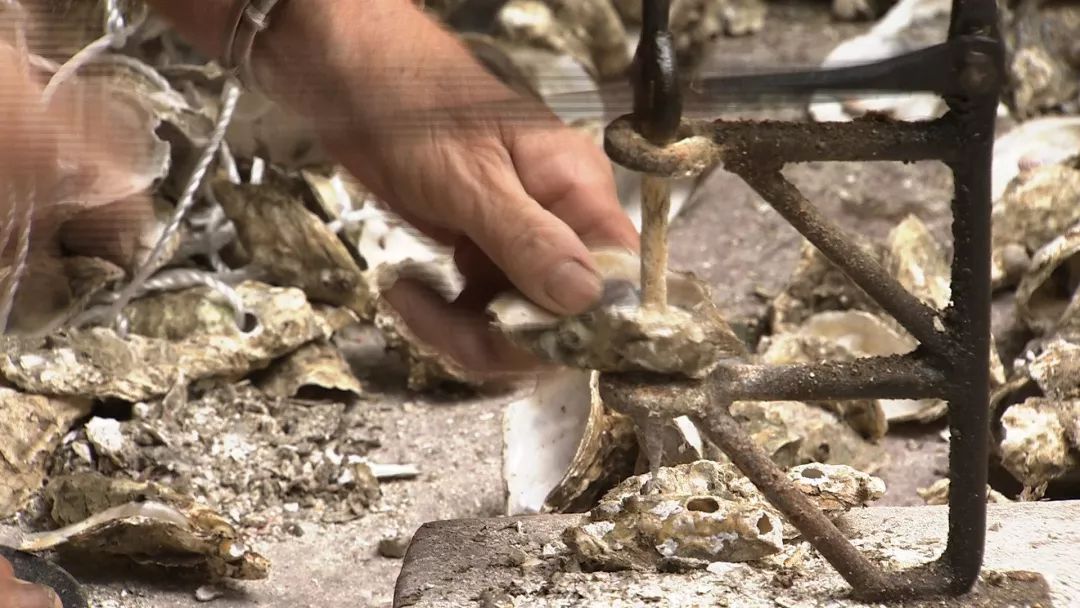 卖光家产！身背巨债！绝望中，他靠一种薄壳的小东西，年赚百万