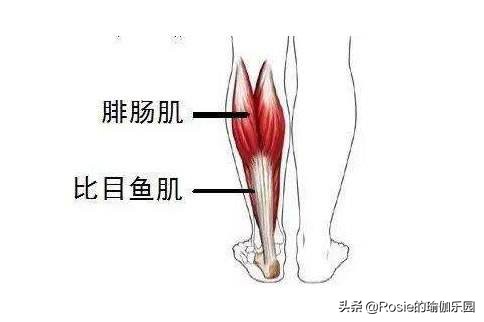 双腿粗最有效方法,腿粗如何凸显脚踝