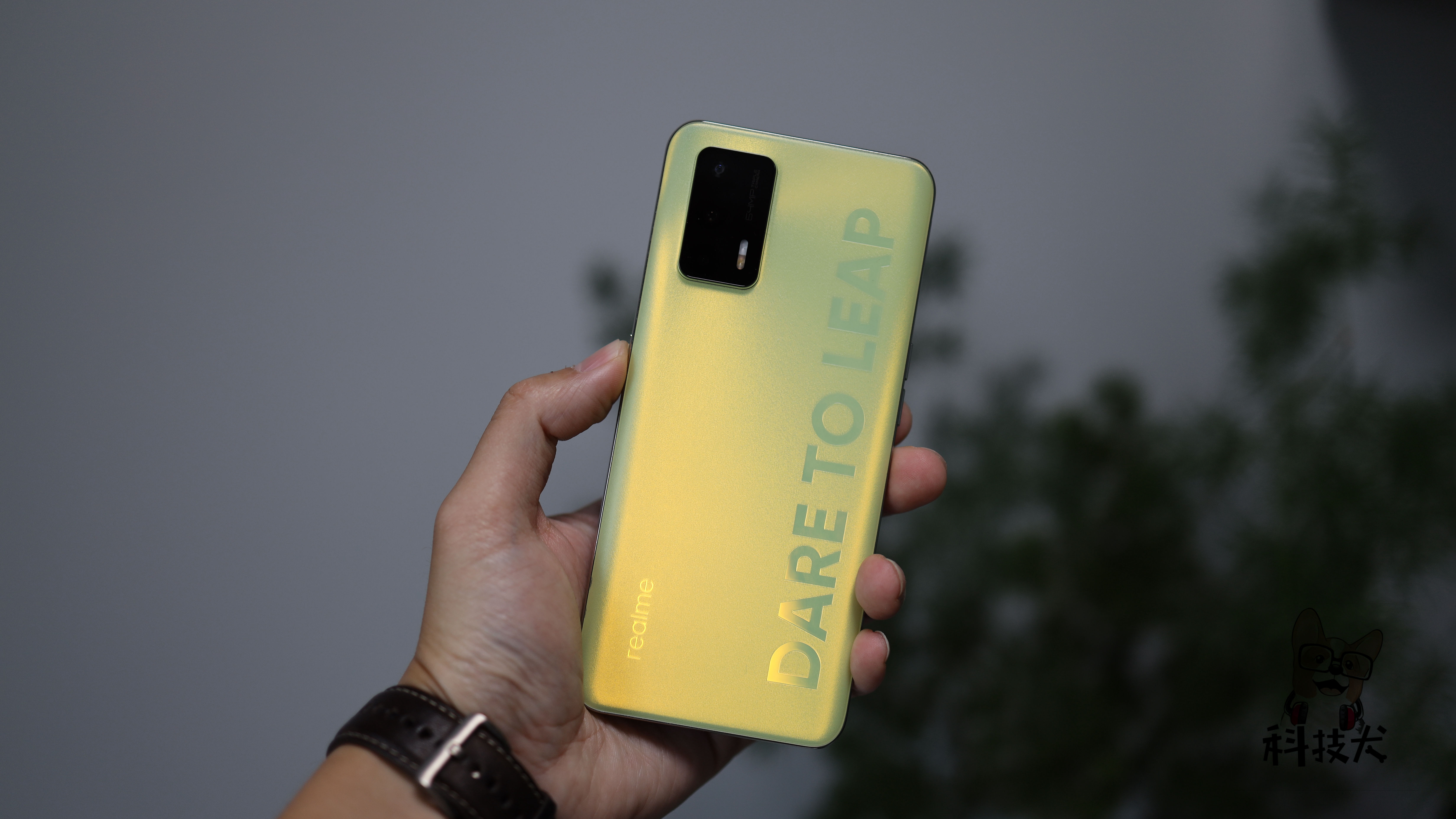 realmeq3pro萤火虫能发光吗,realmeq3pro萤火虫配色夜光效果