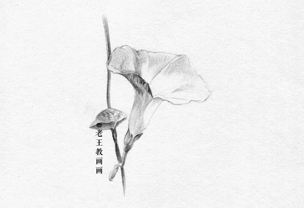 小白学习素描需要准备什么,小白学素描入门教程