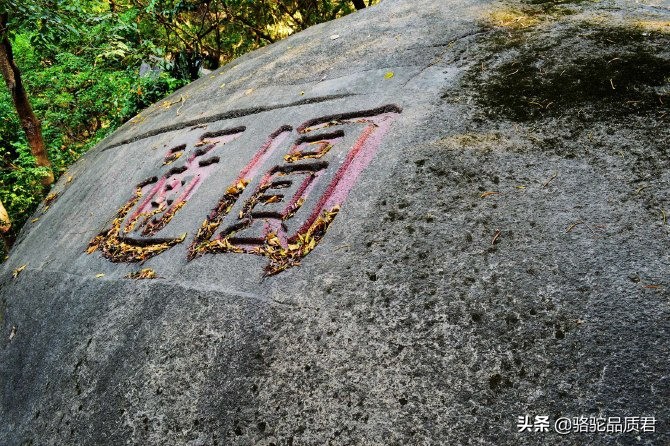 厦门海边之旅,厦门小众旅游体验