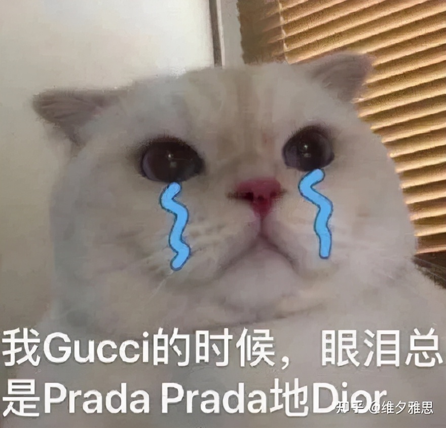 只有留学生才能看懂的“神秘代码”，你知道几个？