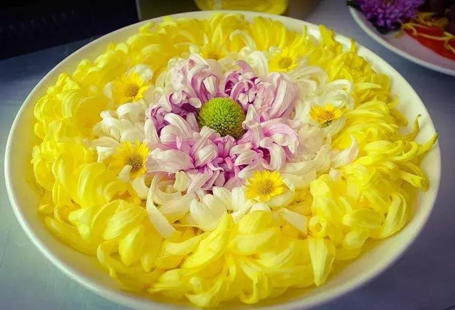 100岁长寿指南：人懒、有钱、吃花、不当官