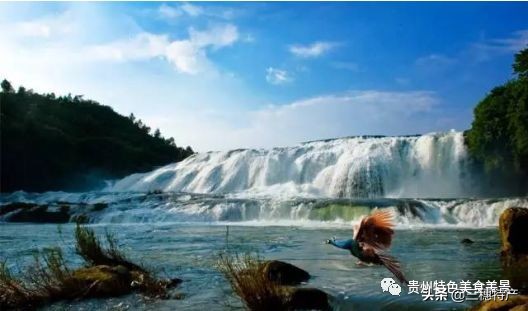 黄果树瀑布游玩攻略费用多少,贵州黄果树瀑布千户苗寨旅游攻略