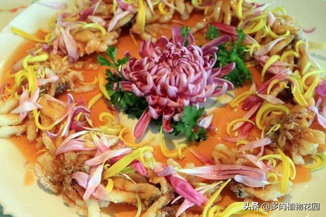 可食用的菊花有哪些,菊花能吃的有哪几种