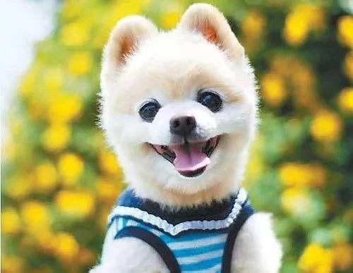 道教礼仪简介范文大全,道教的禁忌与避讳