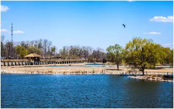 真实的新发地是什么,新发地到底是哪里