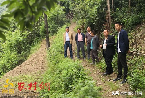 张浩祥甘做脱贫攻坚的垫脚石