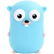 开发软件用什么编程语言最好,软件编程入门语言推荐