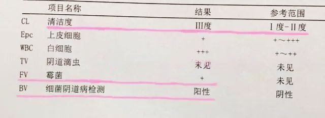 想治好阴道炎,妇检单子这5项值要看懂,对症下药才能根治
