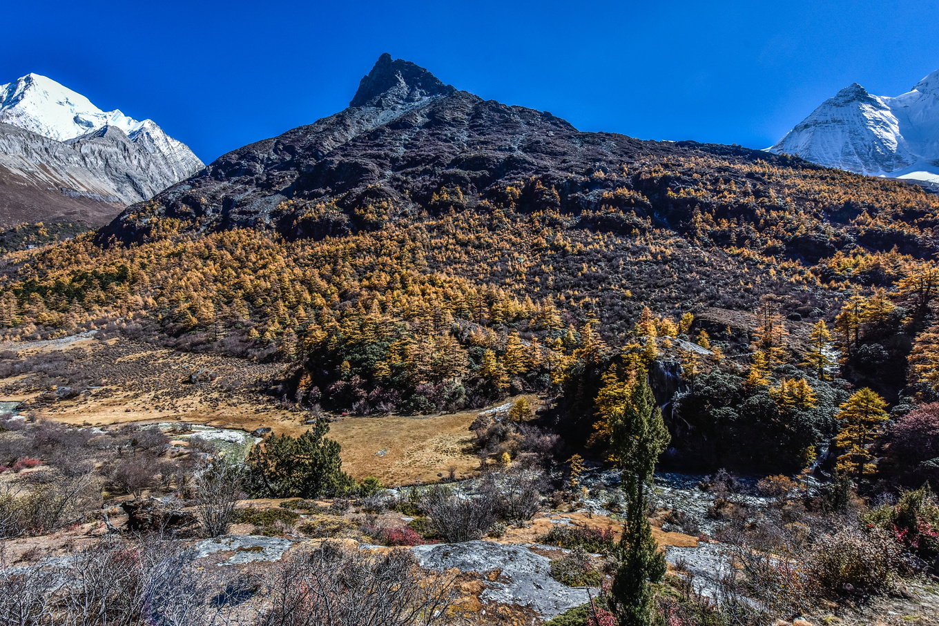 四川甘孜的亚丁稻城,四川稻城亚丁蓝色星球上的净土