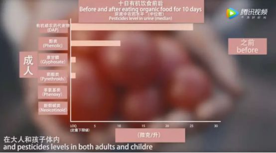 菜吧：为什么要给我们的孩子吃有机食品？