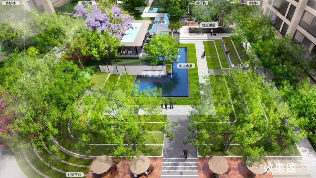 成华核心区最新消息,成华区最新动态