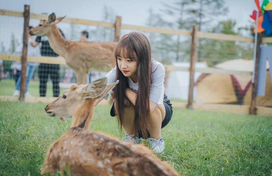 东南花都花博园景观,东南花都花博园