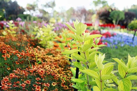 内蒙古清零的盟市,内蒙古鄂尔多斯的转型发展