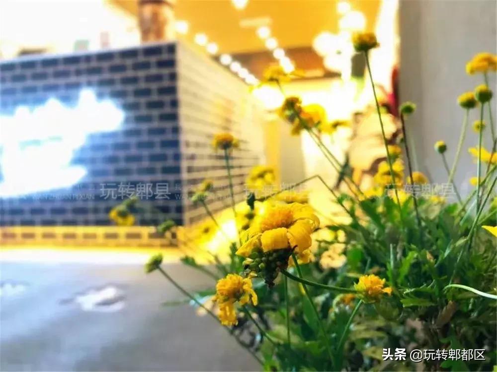 暹香泰茶和素匠泰茶,暹香泰茶好不好