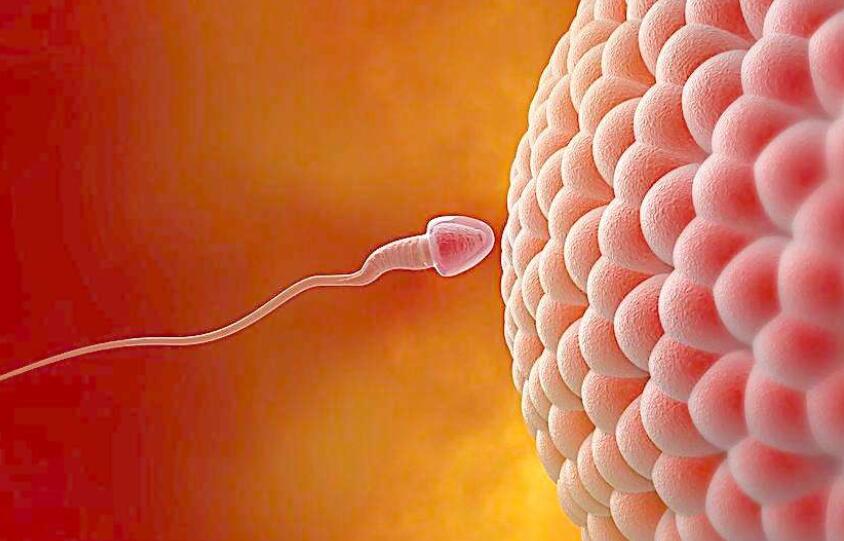 艰难备孕成功分享经验与方法,备孕成功经验