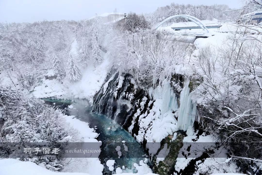 老实说,这一趟北海道就是为了拍好看的照片去的