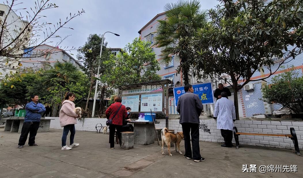 免费的狗疫苗,免费犬疫苗