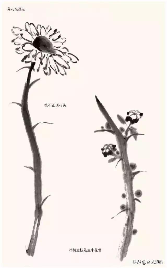 写意菊花小品国画大全,国画写意菊花和螃蟹