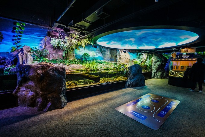 去韩国必买清单,韩国购物攻略衣服