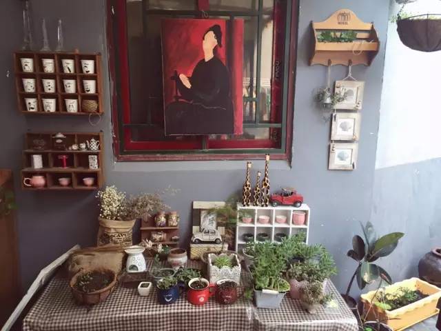 梦想改造家小户型,农村庭院改造效果图大全