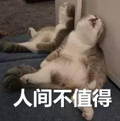 求代购的那些人究竟是怎么想的？