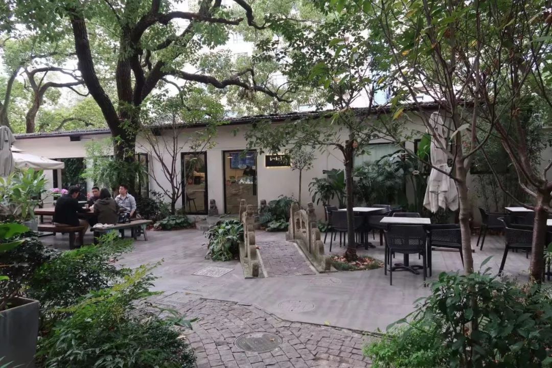 魔都网红马路视频,魔都值得散步的马路