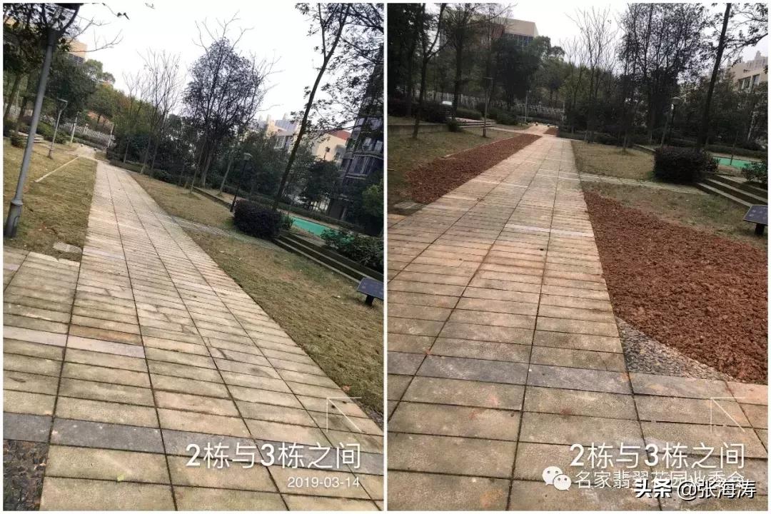 业委会整改小区绿化,名家翡翠花园业委会