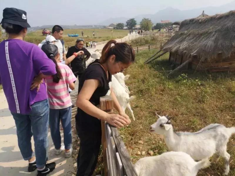 在大连去旅顺华酝牡丹园坐什么车,大连旅顺华酝牡丹园几月份适合去