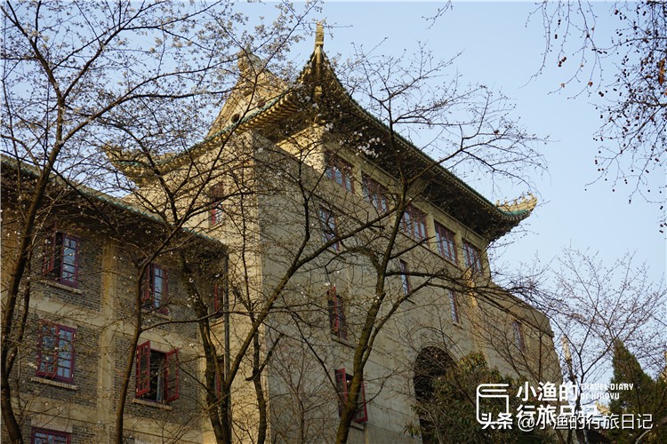 第一次去武汉被震撼到,西安妹子到成都旅游8次