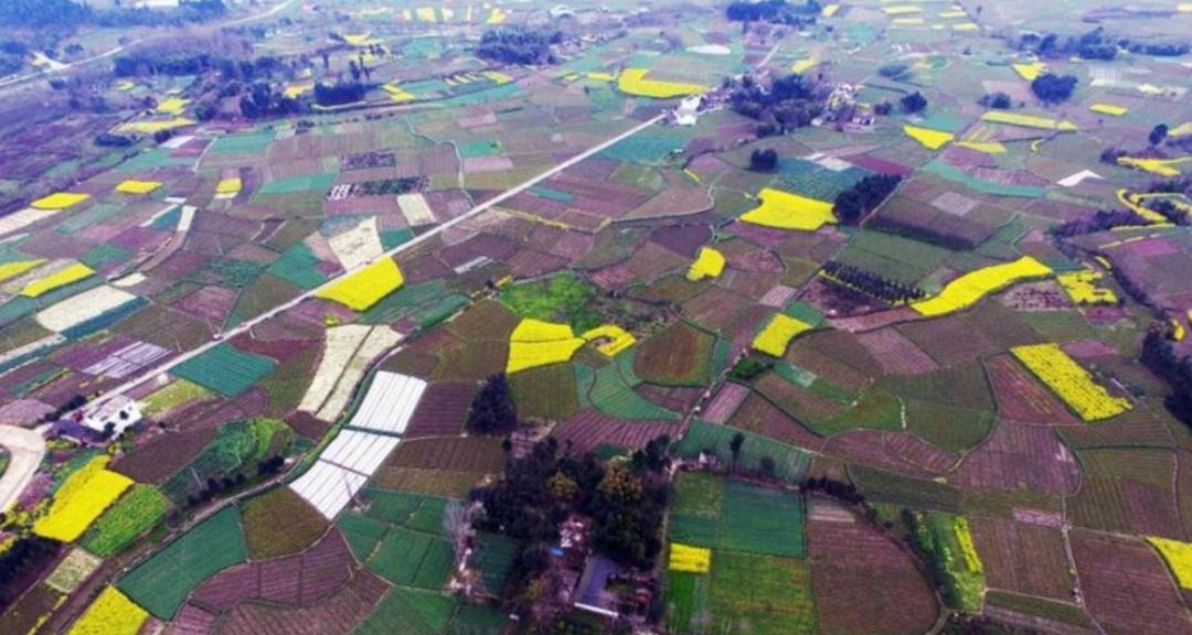 若堵住四川盆地的长江出水口，仅需500年就能变湖泊？有何后果？