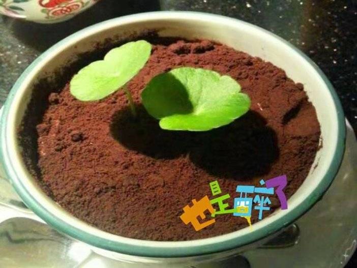 青岛-77元即享双人中餐ktv欢唱两小时双人汤泉洗浴佐卡伊真钻项链