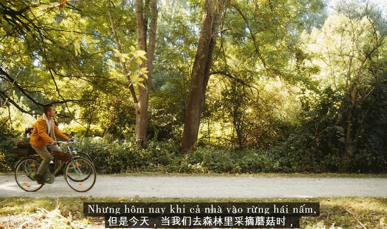 李子柒靠海外视频月入80万,德国版李子柒