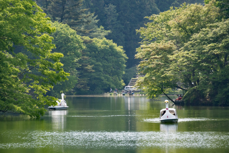 摄影拍照怎么避免雾气,拍照如何除去雾感