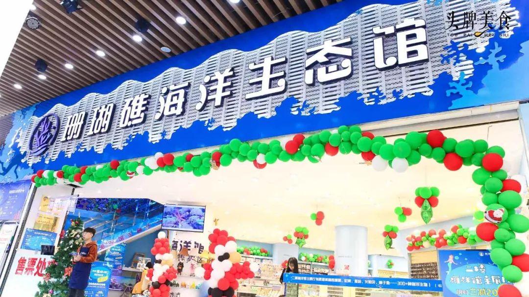 绚丽珊瑚海300+种海底生物，火爆盆友圈的网红打卡圣地就在中山路