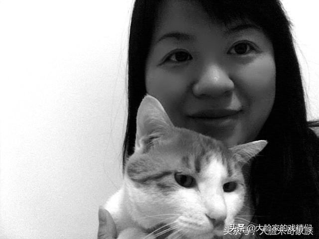 你这样的白橘猫,叫我怎能不爱?