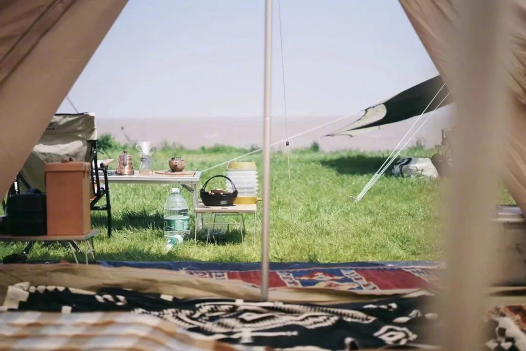 露营这阵风刮得太猛了，组团睡野地到底爽在哪里？