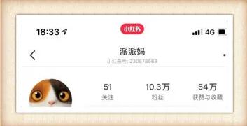 CEO爸爸为女儿造一款网课神器小米众筹3天破200%