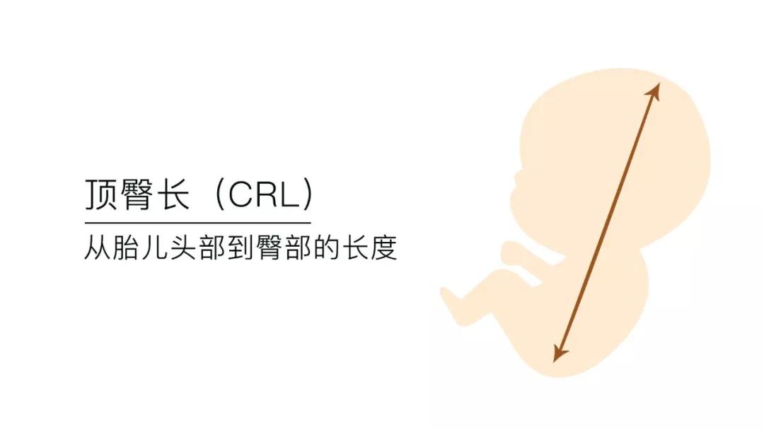 孕期到底需要做几次B超？B超/彩超/三维/四维的区别及选择