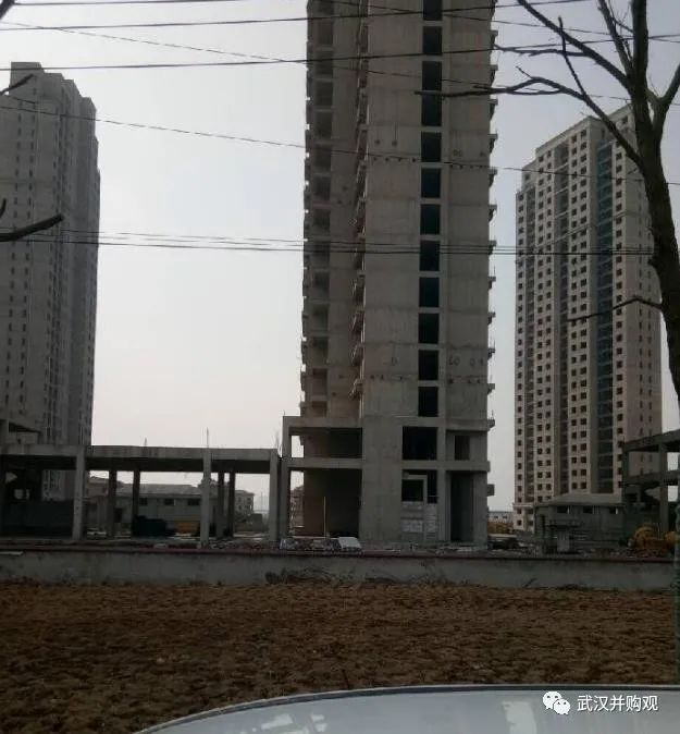 华南集团:汉口北著名烂尾项目德大浅水湾迎来新主人