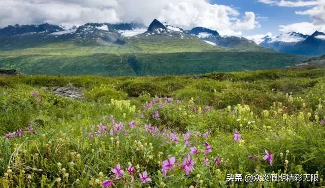 环球邮轮旅行签证怎么办理,办理国内邮轮签证需要什么条件