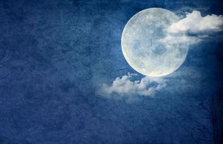 郭沫若写李白极为精彩,郭沫若笔下的李白