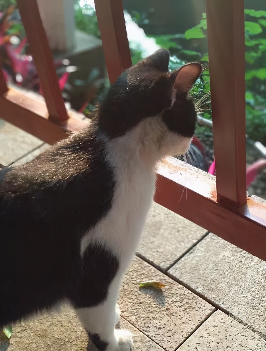 朋友圈设置多久可见最好,设置朋友圈三天可见有记录吗