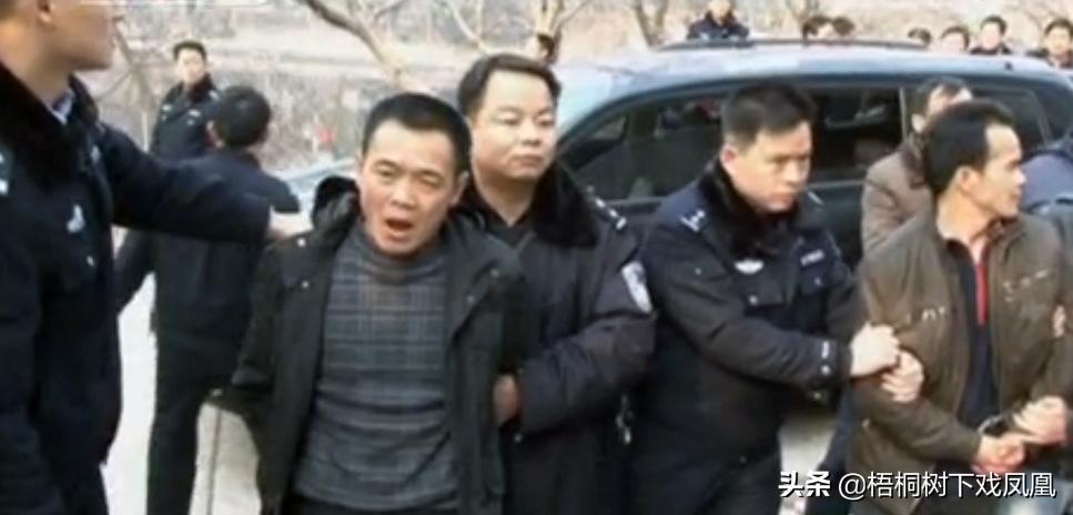 看电视鉴宝获得灵感,带老乡盗抢博物馆,得手36小时后警察找上门