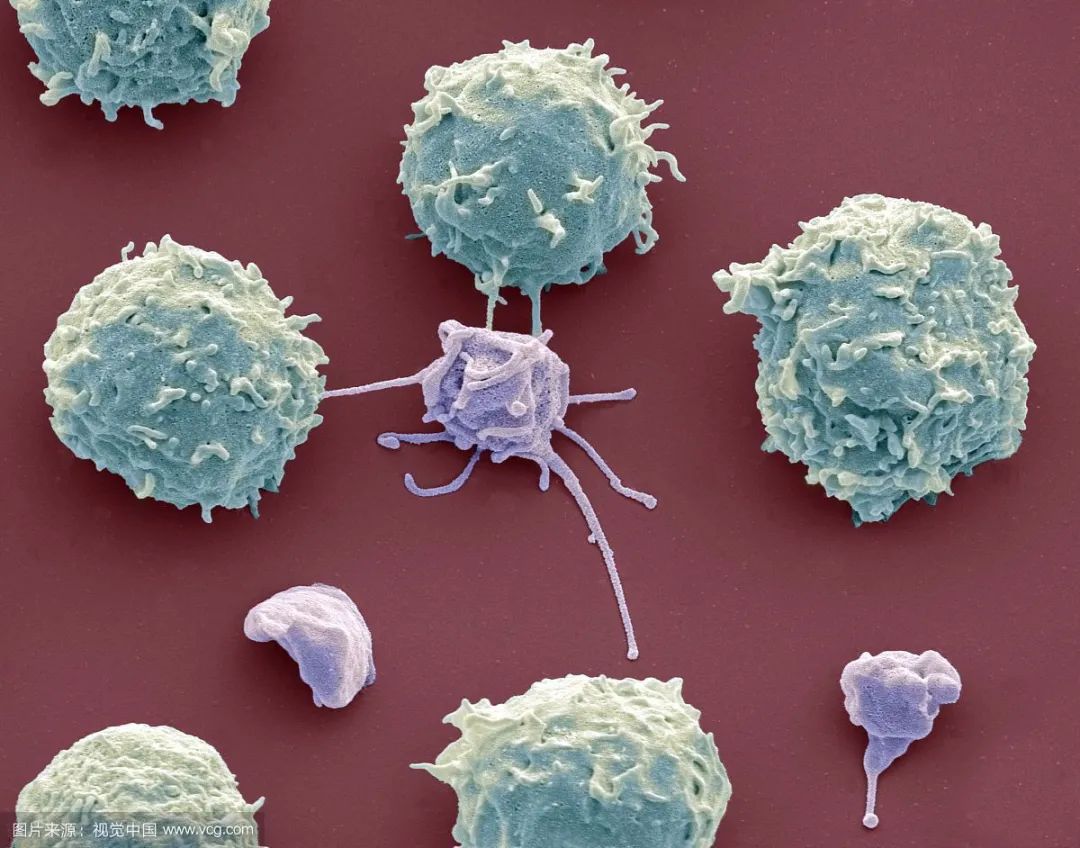 妊娠期血小板少了怎么办？